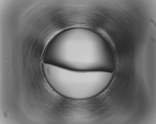 X0000103141284200808221056
