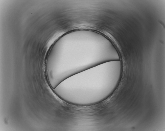 X0000103141285200808221056