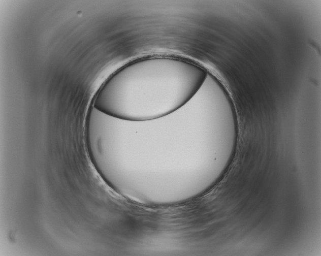 X0000103141287200808221056