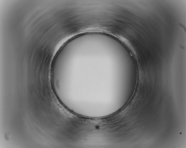 X0000103141288200808221056