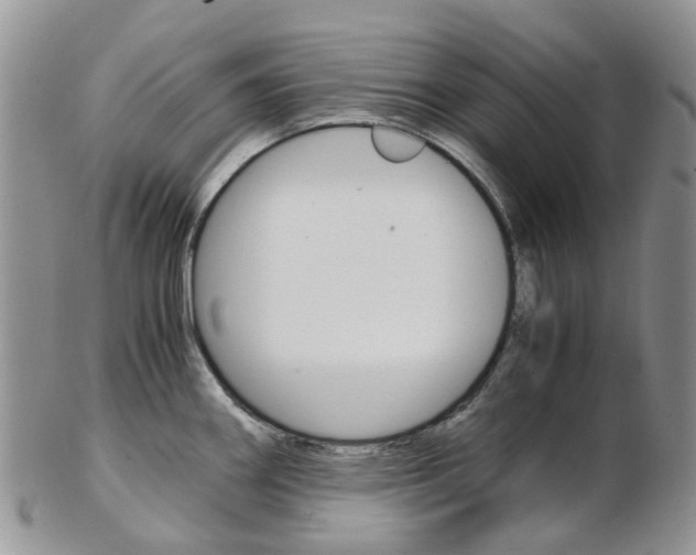 X0000103141290200808221056