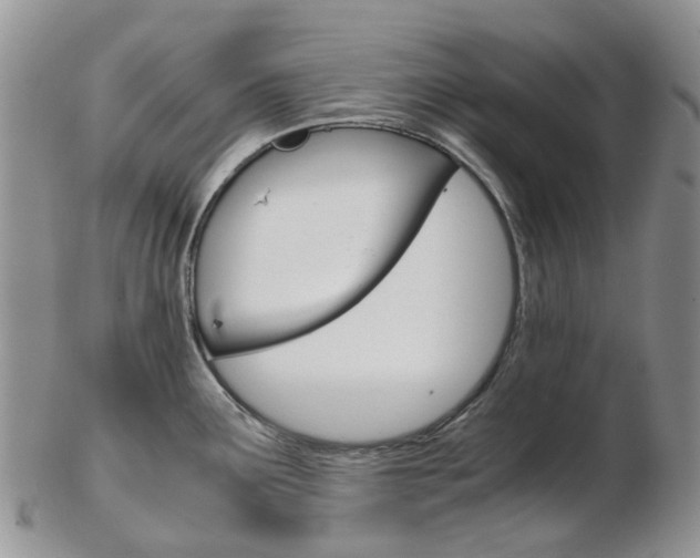 X0000103141291200808221056