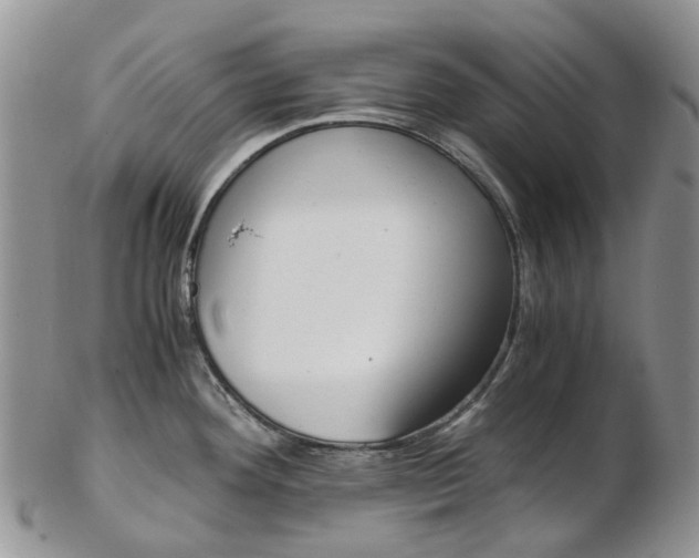 X0000103141292200808221056