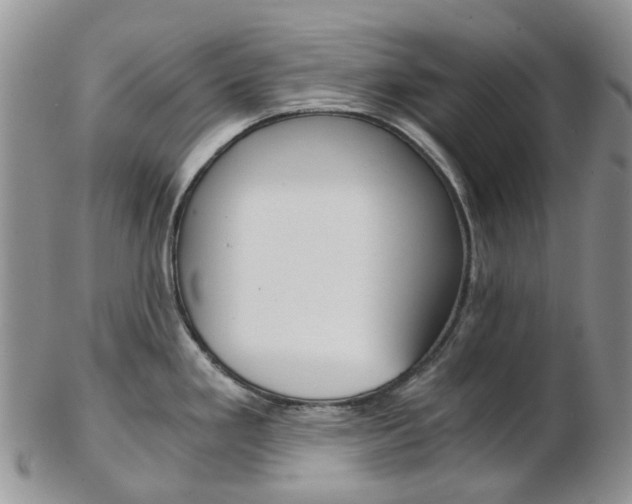 X0000103141293200808221056