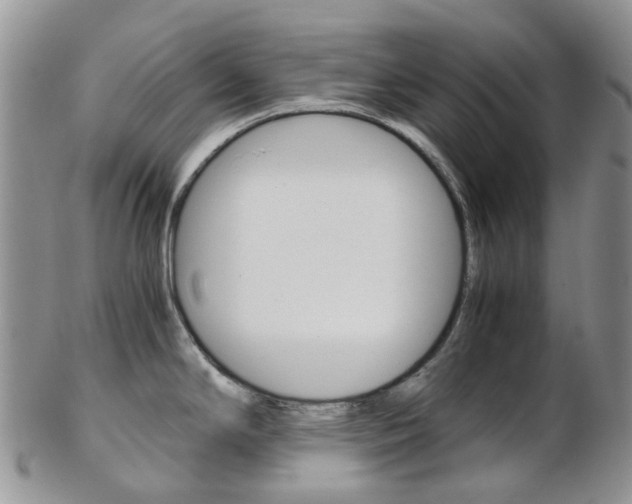 X0000103141294200808221056