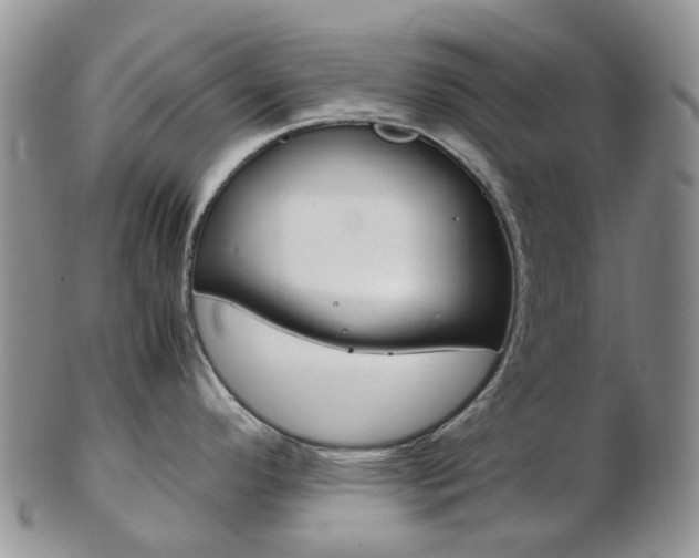 X0000103141296200808221056
