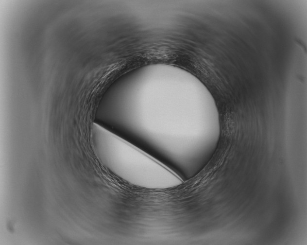 X0000103141297200808221055