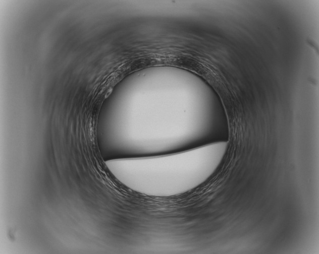 X0000103141298200808221055