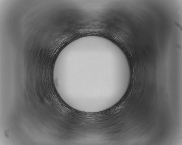 X0000103141300200808221055