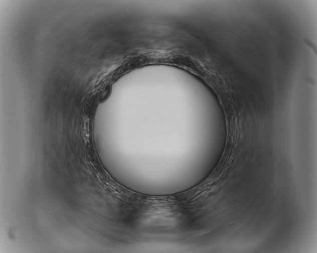 X0000103141301200808221055