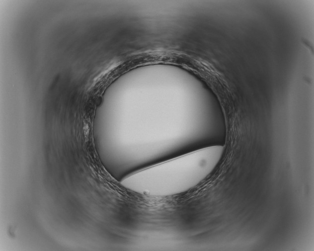X0000103141302200808221055