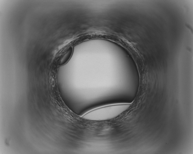 X0000103141303200808221055