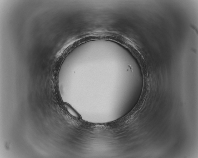 X0000103141304200808221055