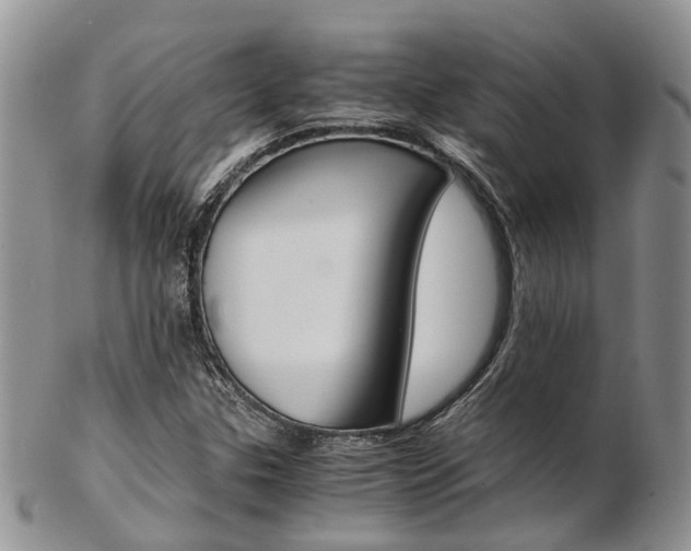 X0000103141307200808221055