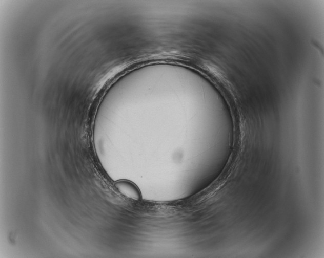 X0000103141308200808221055