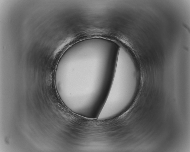 X0000103141309200808221055