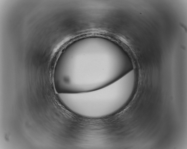 X0000103141310200808221055