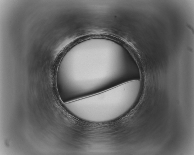 X0000103141311200808221055