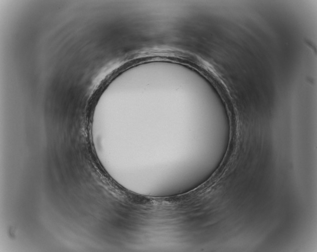 X0000103141312200808221055