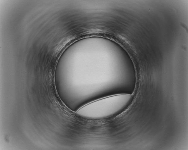 X0000103141313200808221055