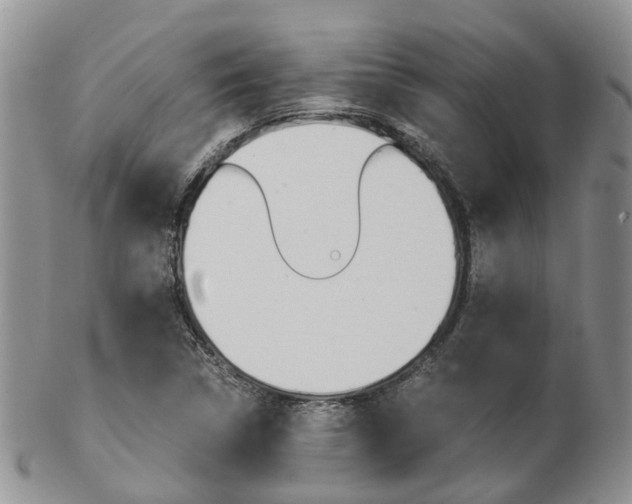 X0000103141314200808221055