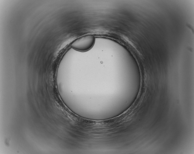 X0000103141315200808221055