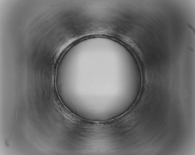 X0000103141316200808221055