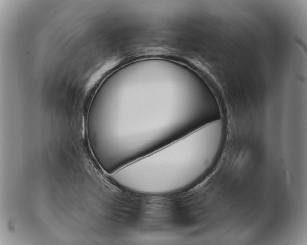 X0000103141317200808221055