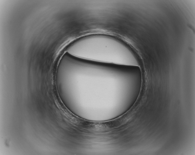 X0000103141318200808221055
