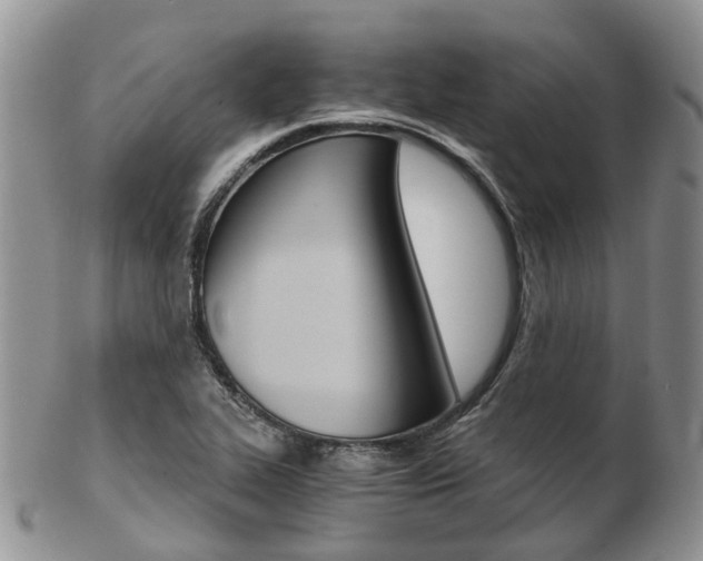 X0000103141319200808221055