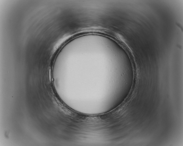 X0000103141320200808221055