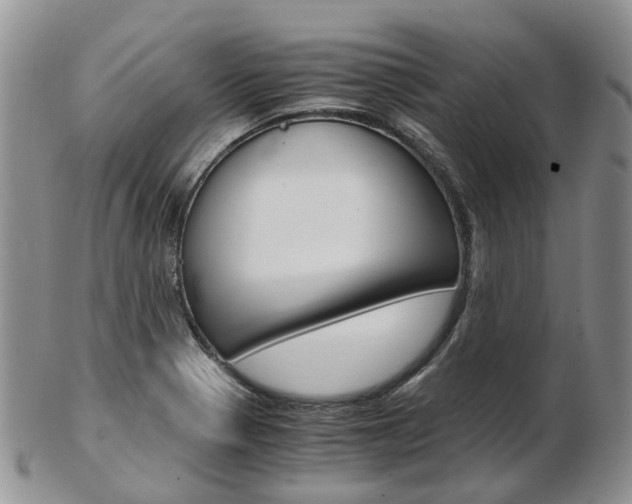 X0000103141321200808221055