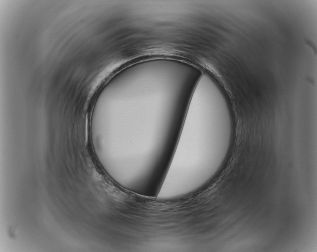 X0000103141323200808221055
