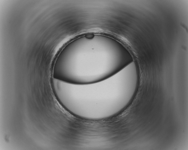X0000103141326200808221055