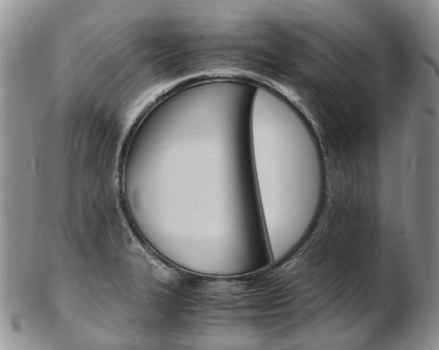 X0000103141327200808221055