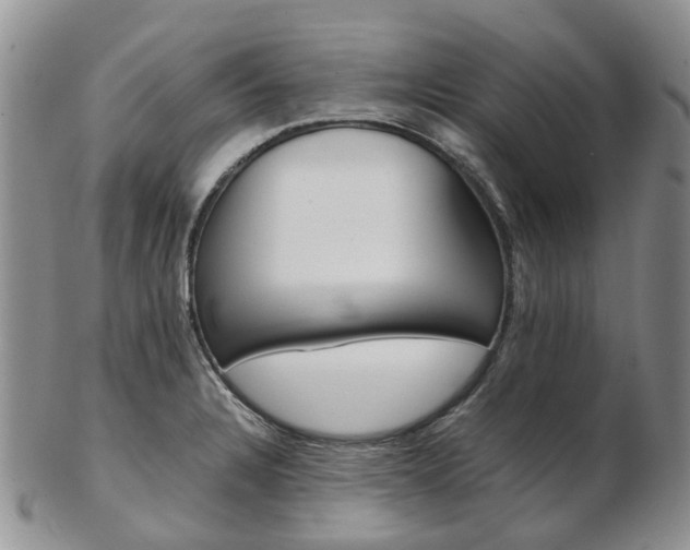 X0000103141328200808221055