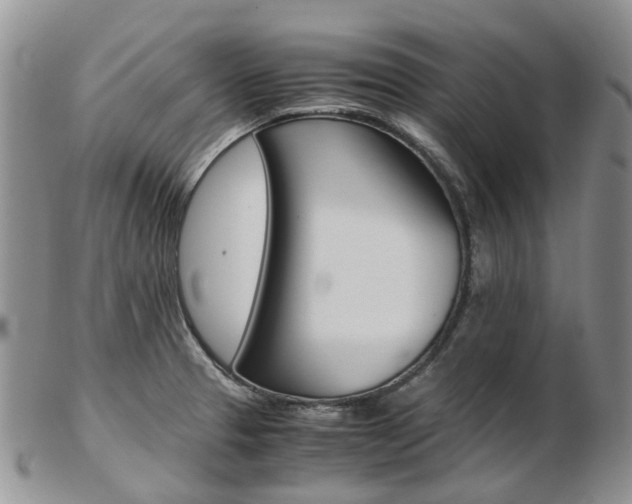 X0000103141329200808221055