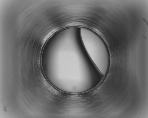 X0000103141330200808221055