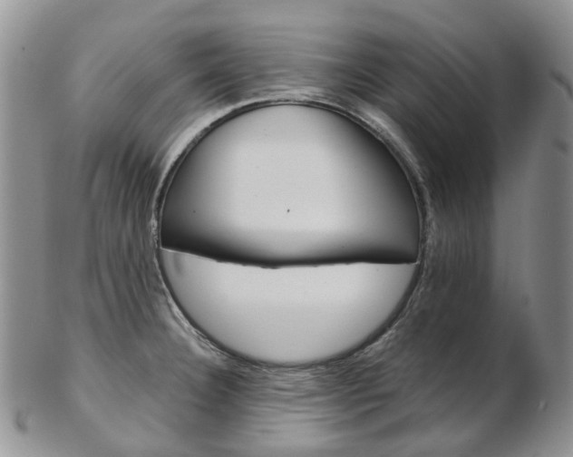 X0000103141332200808221055