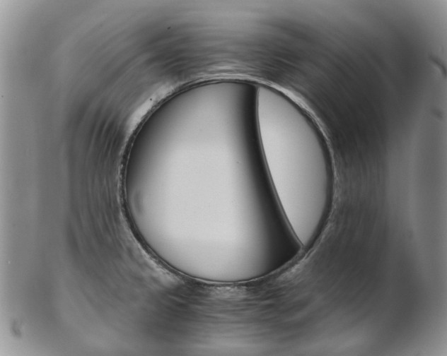 X0000103141333200808221055