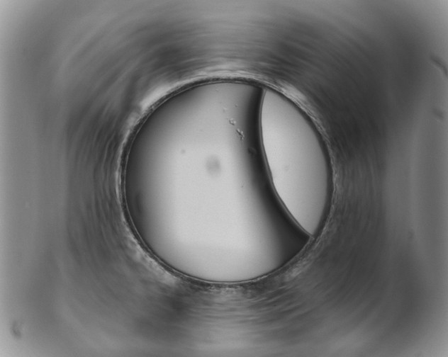 X0000103141334200808221055