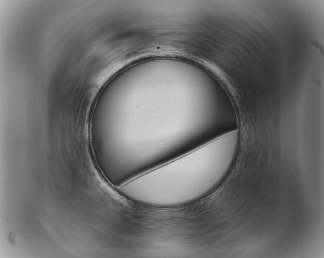 X0000103141335200808221055