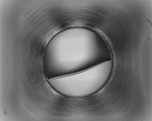 X0000103141337200808221055