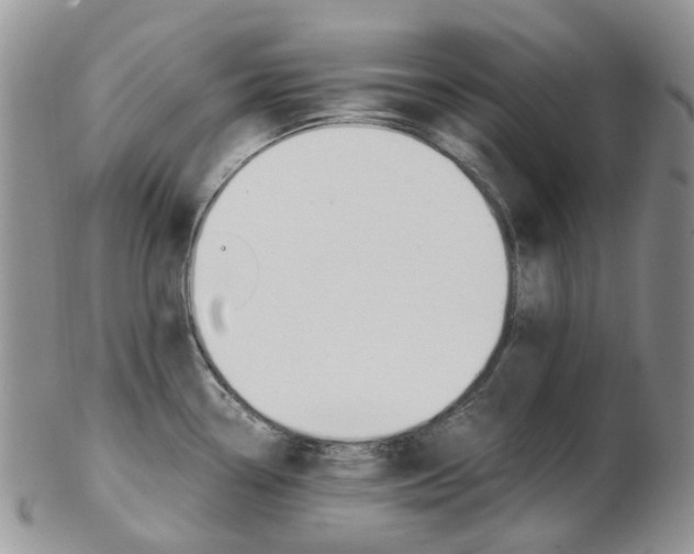 X0000103141338200808221056