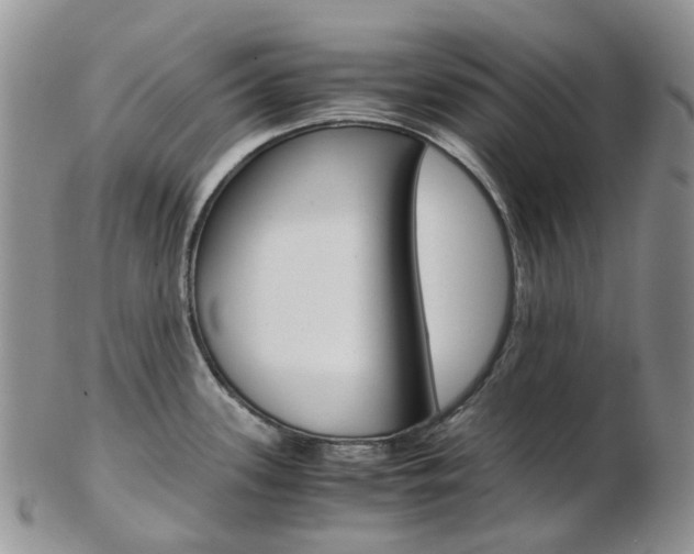 X0000103141339200808221056