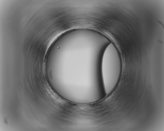 X0000103141340200808221056