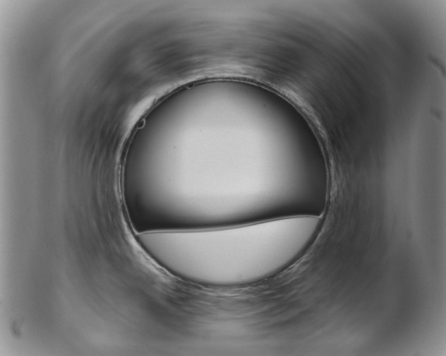 X0000103141342200808221056