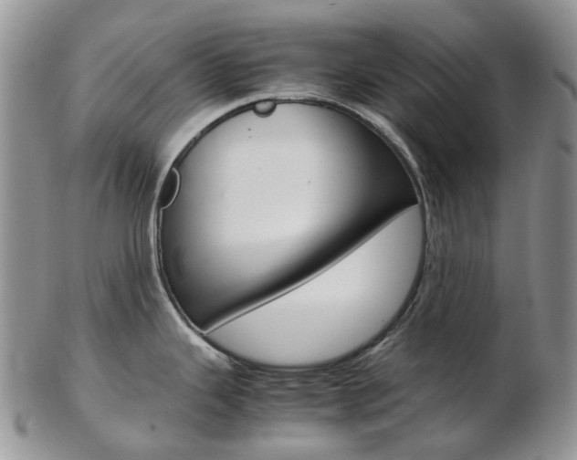 X0000103141343200808221056