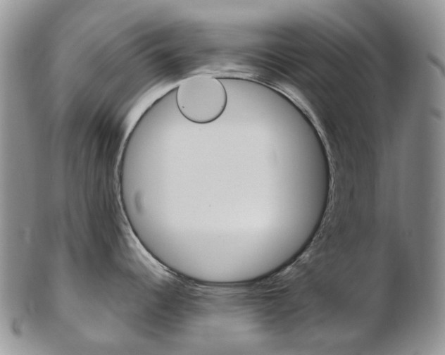 X0000103141344200808221056