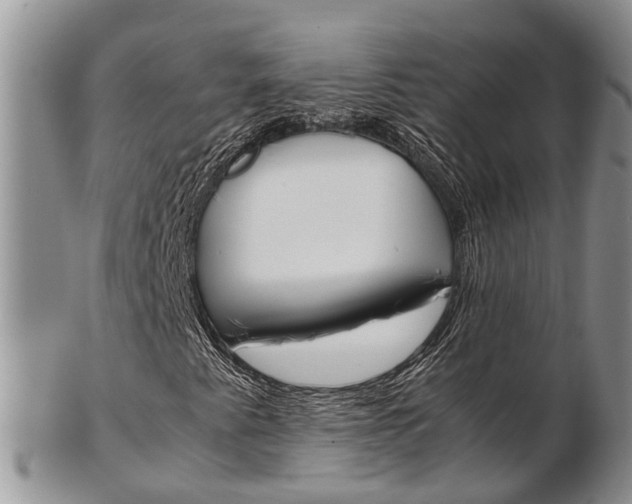X0000103141345200808221055
